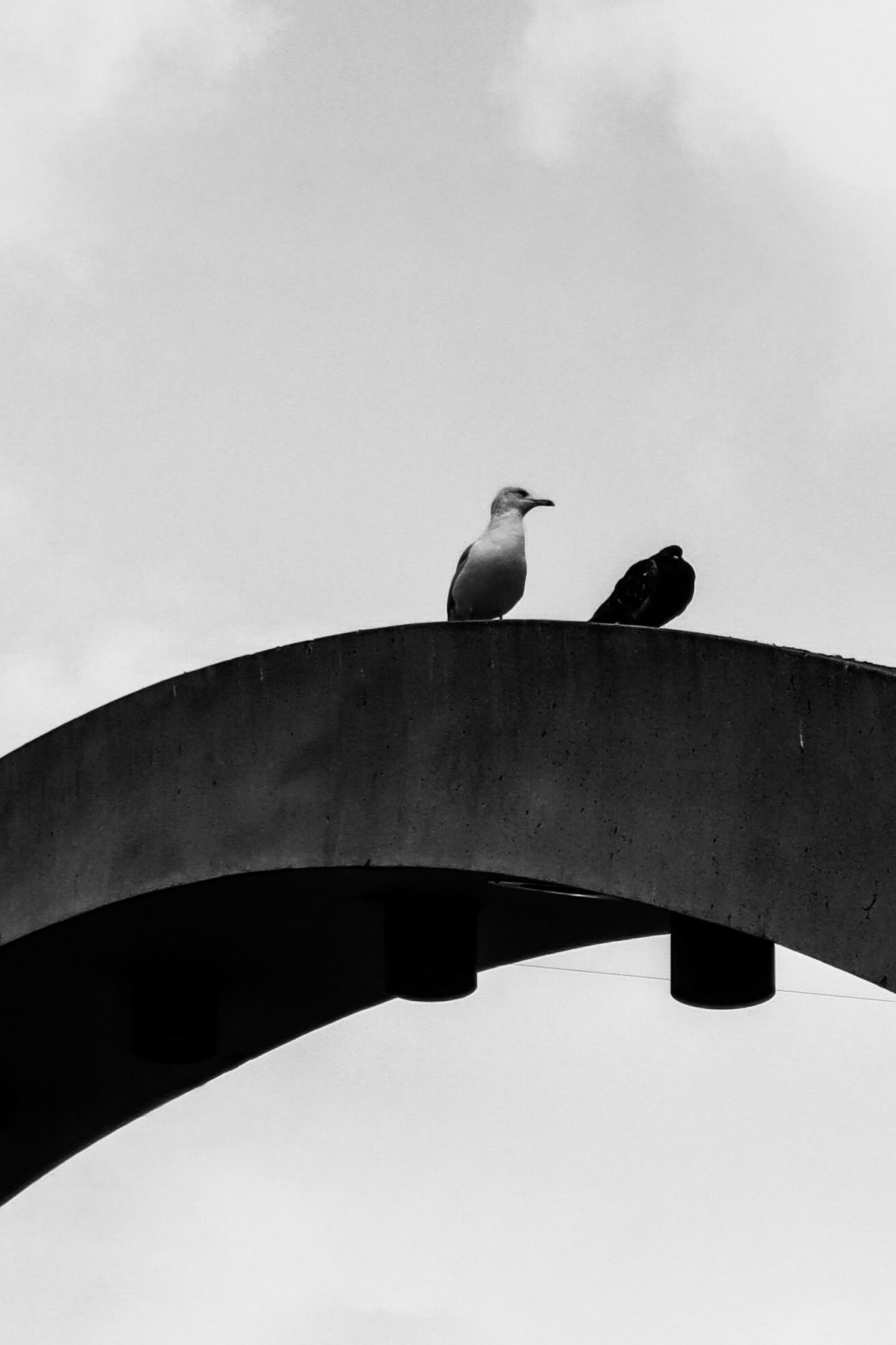 Street Photography 15